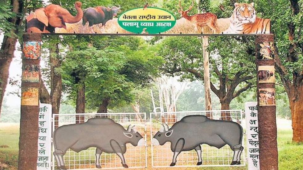 Palamu Tiger Reserve, Latehar, Jharkhand - Vushii.com Palamu Tiger Reserve, Latehar, Jharkhand - Vushii.com